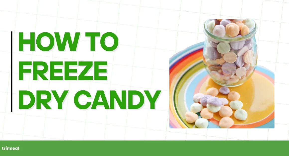 How to Make Freeze Dried Candy: Your Ultimate Guide to Sweet Science