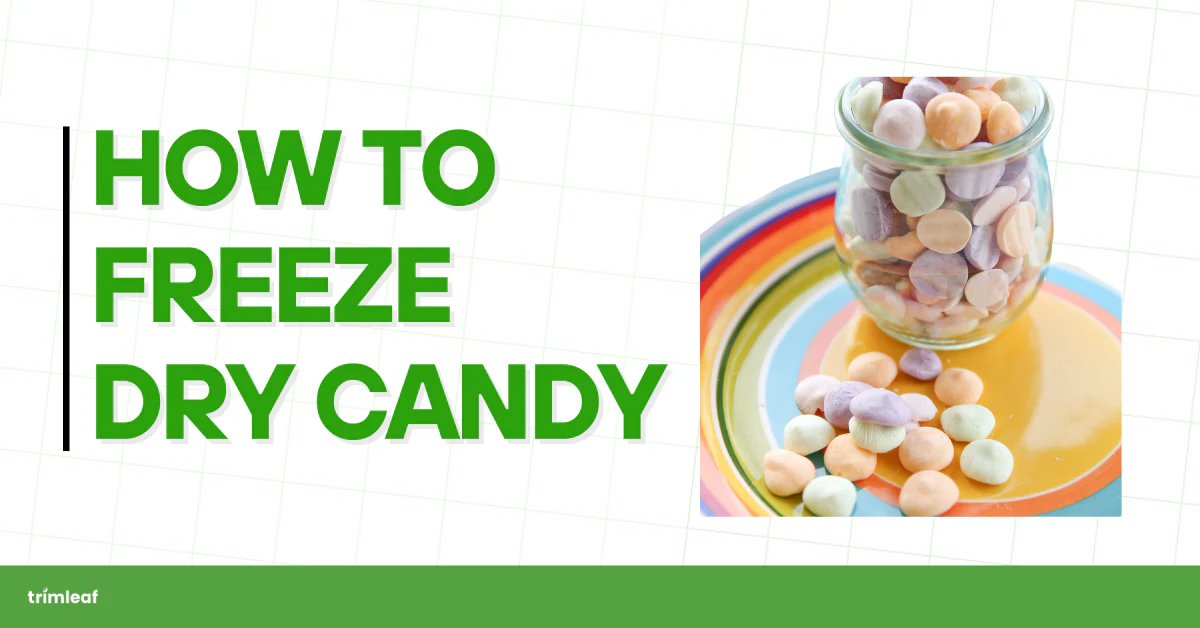 how to make freeze dried candy