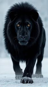 Black Lion