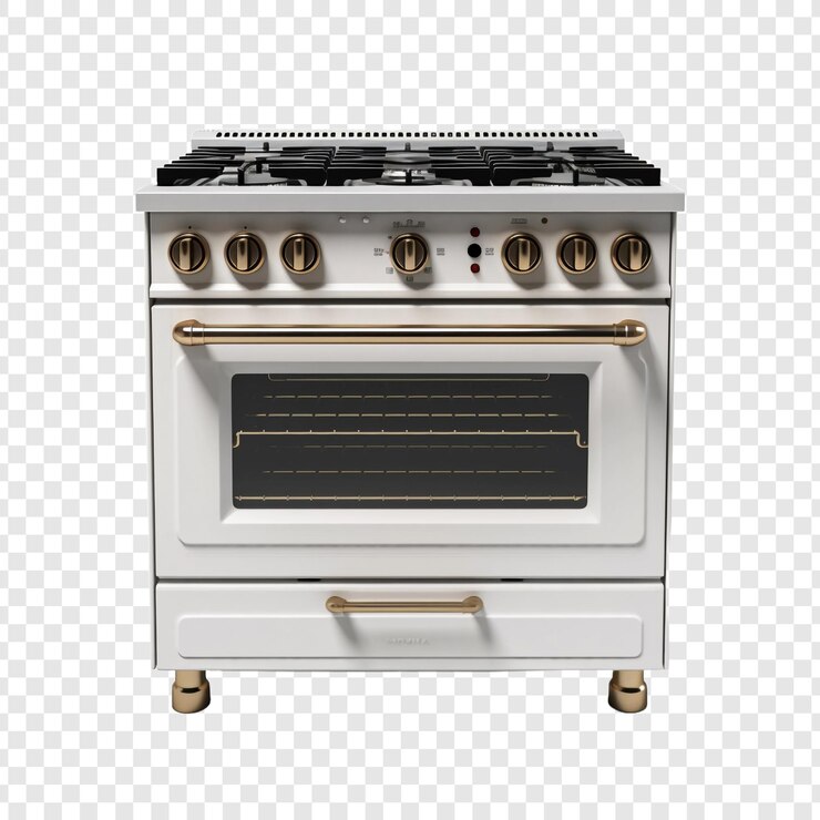 Luxury 30in Oven with Gold Trim