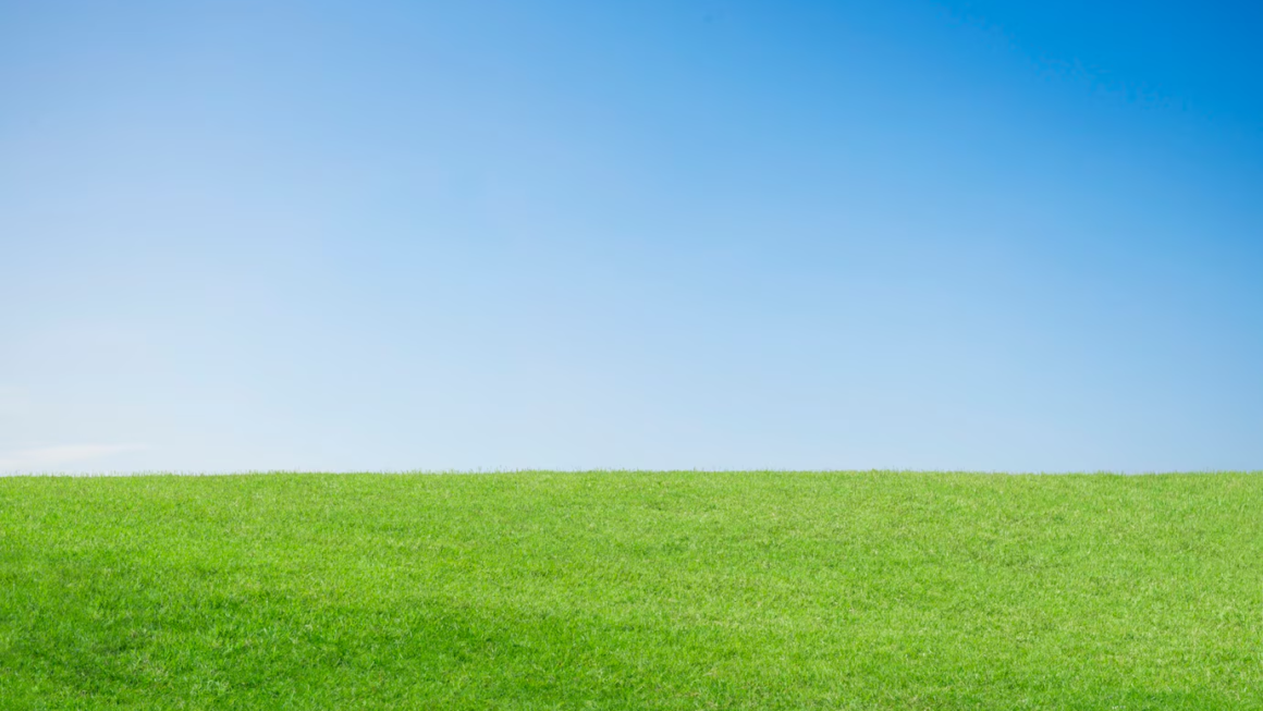 The Ultimate Seasonal Lawn Care Checklist for Homeowners 