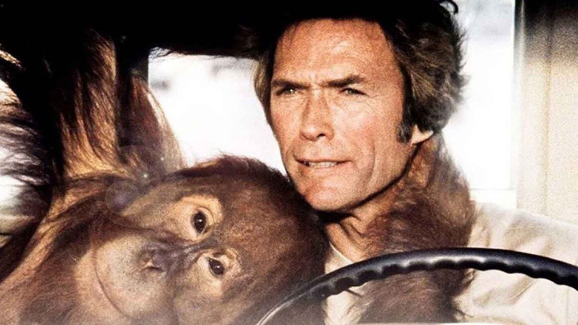 Did Eastwood Consider a 3rd Movie with Clyde the Orangutan? The Untold Story