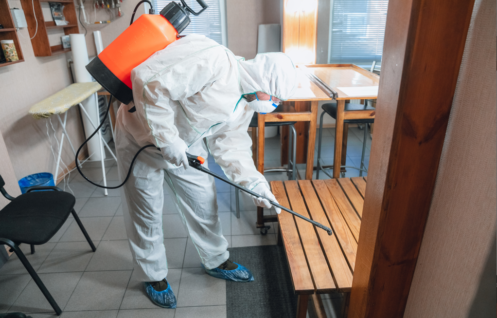 How To Ensure Long-Term Pest Control After Hiring An Exterminator 